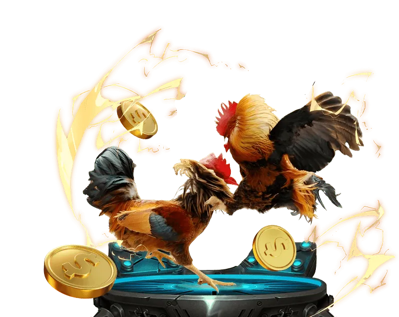 Đá gà trực tiếp FABET zt9398.net